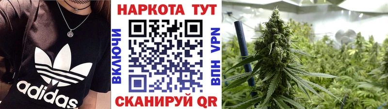 Продажа наркотиков Тобольск Бошки Шишки  Меф мяу мяу  МДМА  Гашиш  СК 