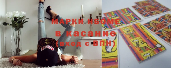 прущие грибы Верхний Тагил