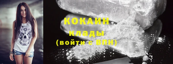 прущие грибы Верхний Тагил