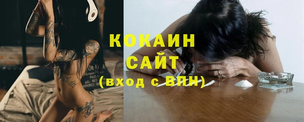 прущие грибы Верхний Тагил