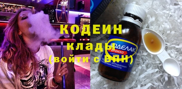 прущие грибы Верхний Тагил