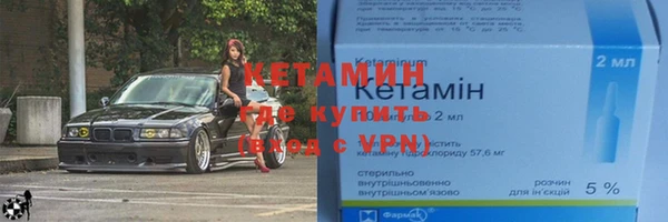 прущие грибы Верхний Тагил