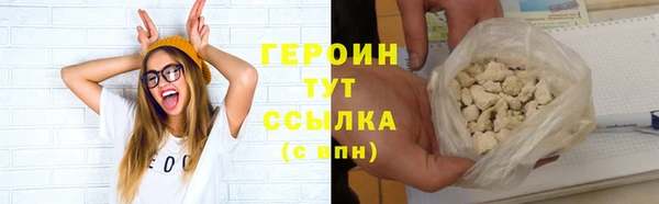 прущие грибы Верхний Тагил