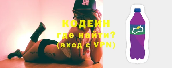 прущие грибы Верхний Тагил