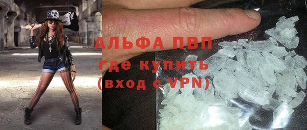 прущие грибы Верхний Тагил