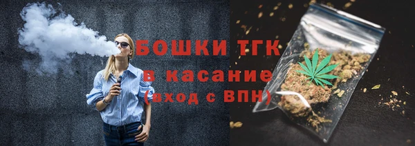 прущие грибы Верхний Тагил