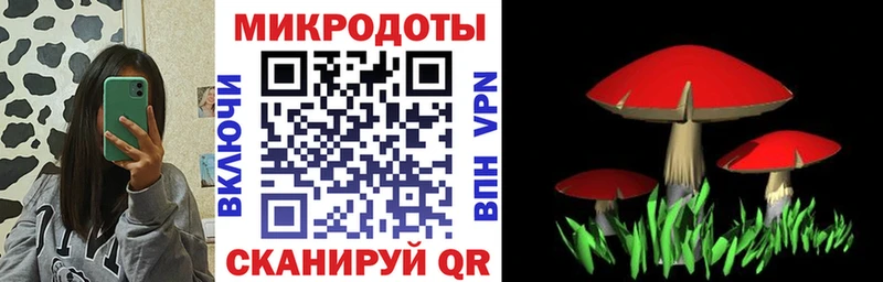купить  сайты  Тобольск  Галлюциногенные грибы Psilocybe 